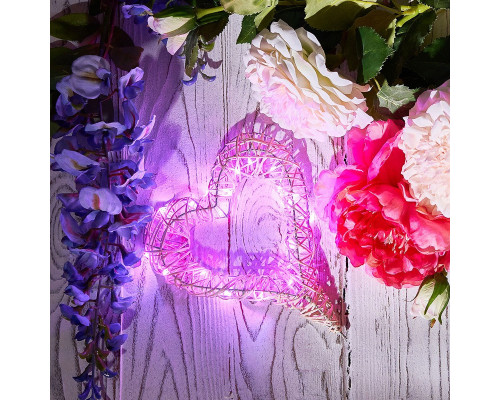 Оформить заказ Светодиодная гирлянда Neon-Night 303-007| VIVID-LIGHT.RU