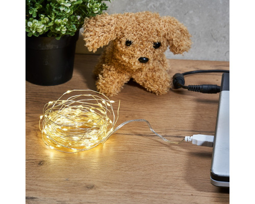 Купить Светодиодная гирлянда Neon-Night 315-966| VIVID-LIGHT.RU