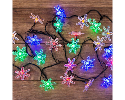 Оформить заказ Светодиодная гирлянда Neon-Night 303-065| VIVID-LIGHT.RU