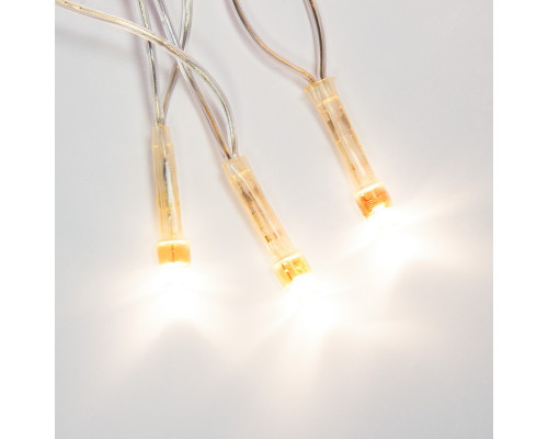 Заказать Светодиодная гирлянда Neon-Night 303-063| VIVID-LIGHT.RU