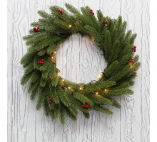 Светодиодная гирлянда Neon-Night 307-150