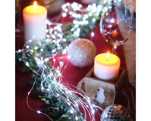 Сделать заказ Светодиодная гирлянда Neon-Night 303-235| VIVID-LIGHT.RU