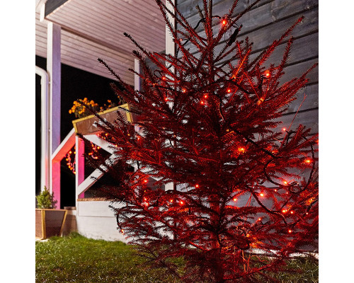 Заказать Светодиодная гирлянда Neon-Night 303-132| VIVID-LIGHT.RU