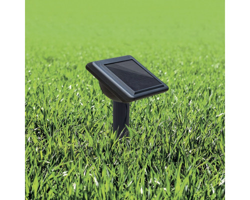 Сделать заказ Светодиодная гирлянда Neon-Night 602-244| VIVID-LIGHT.RU