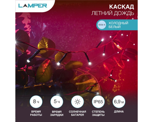 Заказать Светодиодная гирлянда Neon-Night 602-249| VIVID-LIGHT.RU