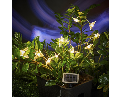 Заказать Светодиодная гирлянда Neon-Night 602-269| VIVID-LIGHT.RU