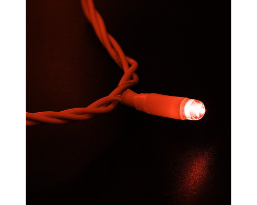 Сделать заказ Светодиодная нить Neon-Night 305-162| VIVID-LIGHT.RU