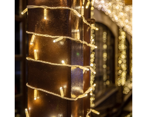 Купить Светодиодная нить Neon-Night 305-166| VIVID-LIGHT.RU