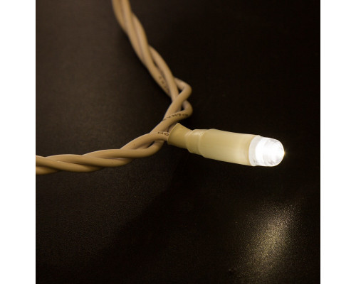 Купить Светодиодная нить Neon-Night 305-166| VIVID-LIGHT.RU