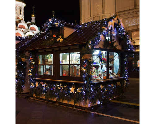 Сделать заказ Светодиодная нить Neon-Night 305-145| VIVID-LIGHT.RU