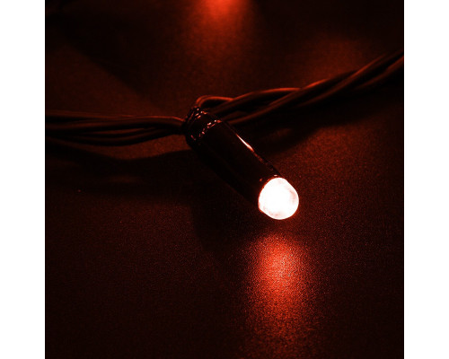 Купить Светодиодная нить Neon-Night 305-172| VIVID-LIGHT.RU