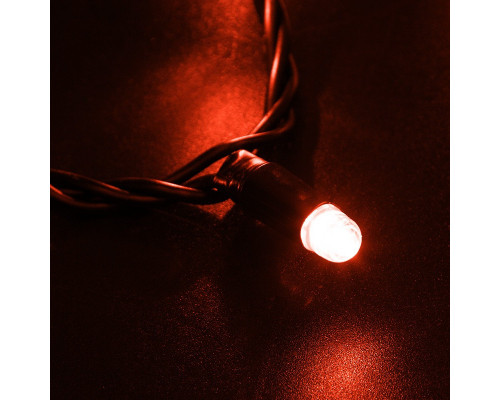 Купить Светодиодная нить Neon-Night 305-142| VIVID-LIGHT.RU