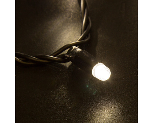 Оформить заказ Светодиодная нить Neon-Night 305-146| VIVID-LIGHT.RU