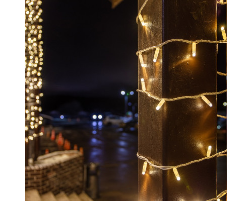 Оформить заказ Светодиодная нить Neon-Night 305-266| VIVID-LIGHT.RU