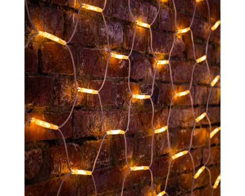 Сделать заказ Светодиодная сеть Neon-Night 217-146| VIVID-LIGHT.RU