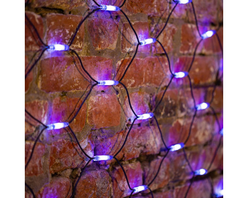 Купить Светодиодная сеть Neon-Night 217-123| VIVID-LIGHT.RU
