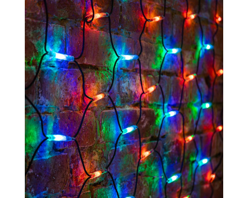 Заказать Светодиодная сеть Neon-Night 217-129| VIVID-LIGHT.RU