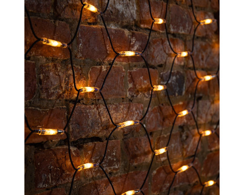 Сделать заказ Светодиодная сеть Neon-Night 217-126| VIVID-LIGHT.RU