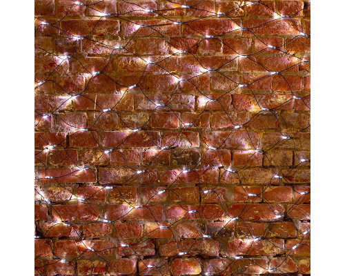 Купить Светодиодная сеть Neon-Night 215-031| VIVID-LIGHT.RU