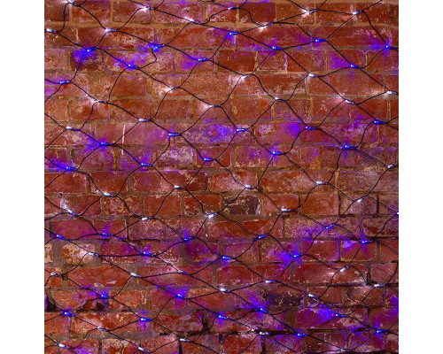 Сделать заказ Светодиодная сеть Neon-Night 215-032| VIVID-LIGHT.RU