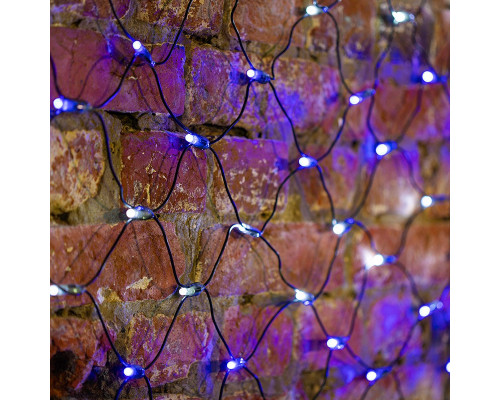 Сделать заказ Светодиодная сеть Neon-Night 215-032| VIVID-LIGHT.RU