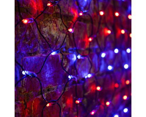 Оформить заказ Светодиодная сеть Neon-Night 215-013| VIVID-LIGHT.RU