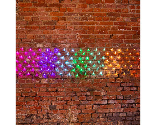 Оформить заказ Светодиодная сеть Neon-Night 215-049| VIVID-LIGHT.RU