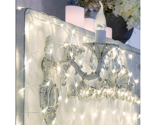 Заказать Светодиодная сеть Neon-Night 215-105| VIVID-LIGHT.RU