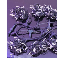 Светодиодный занавес Laitcom PCL602-11-2M