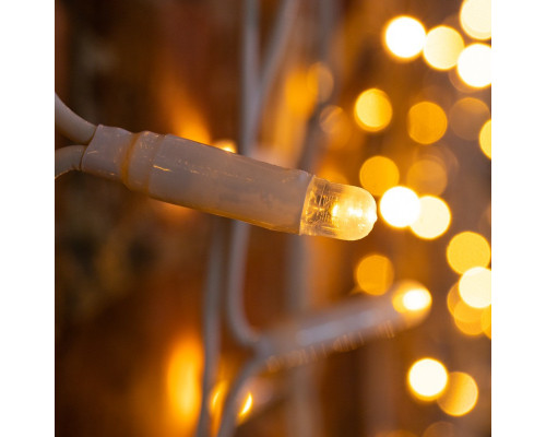 Сделать заказ Светодиодный занавес Neon-Night 237-136| VIVID-LIGHT.RU