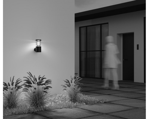 Купить Светильник настенный Maytoni O439WL-L12GF3K| VIVID-LIGHT.RU