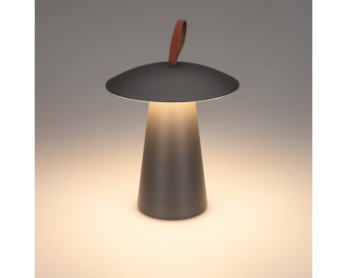 Заказать Уличный светильник Arlight 043587| VIVID-LIGHT.RU