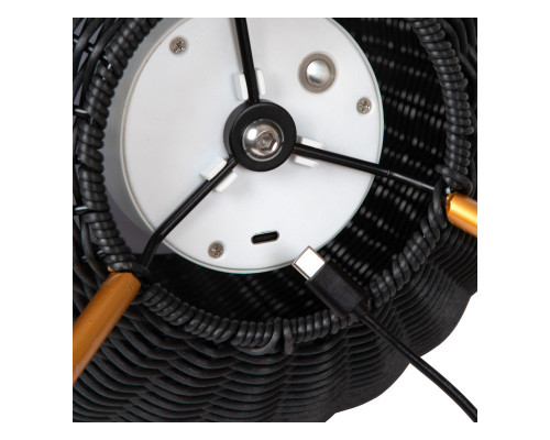 Заказать Уличный светильник LUCIDE 03843/50/30| VIVID-LIGHT.RU