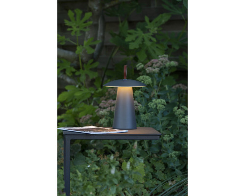 Заказать Уличный светильник LUCIDE 27500/02/29| VIVID-LIGHT.RU