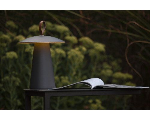 Заказать Уличный светильник LUCIDE 27500/02/29| VIVID-LIGHT.RU