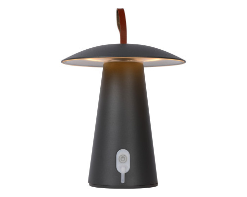 Заказать Уличный светильник LUCIDE 27500/02/29| VIVID-LIGHT.RU