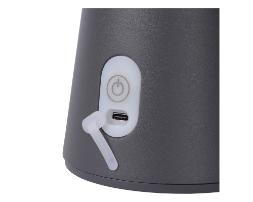 Заказать Уличный светильник LUCIDE 27500/02/29| VIVID-LIGHT.RU