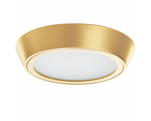 Заказать Уличный светильник Lightstar 214932| VIVID-LIGHT.RU