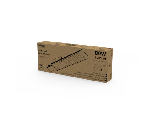 Оформить заказ Консольный светильник Gauss 629534180| VIVID-LIGHT.RU