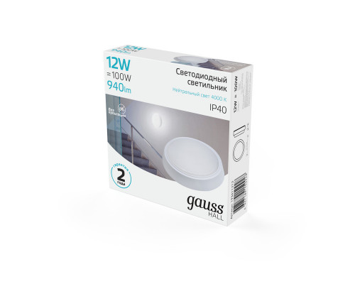 Заказать Офисный светильник Gauss 193411212| VIVID-LIGHT.RU