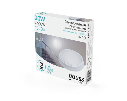 Заказать Офисный светильник Gauss 193411220-OAS| VIVID-LIGHT.RU