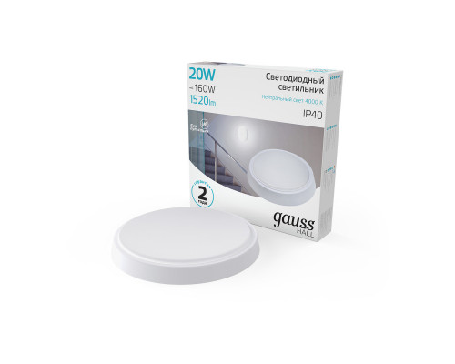 Купить Офисный светильник Gauss 193411220| VIVID-LIGHT.RU