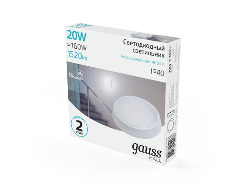 Купить Офисный светильник Gauss 193411220| VIVID-LIGHT.RU