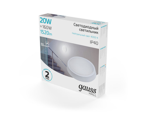 Купить Офисный светильник Gauss 193411220| VIVID-LIGHT.RU