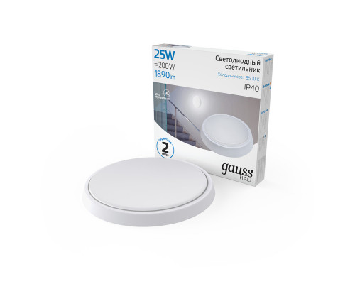 Оформить заказ Офисный светильник Gauss 193411325| VIVID-LIGHT.RU