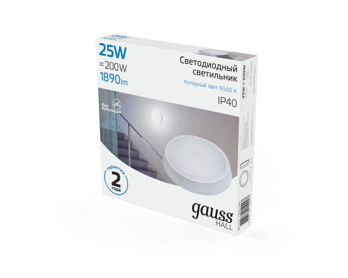 Оформить заказ Офисный светильник Gauss 193411325| VIVID-LIGHT.RU