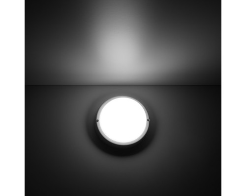 Сделать заказ Пылевлагозащищенный светильник Gauss 126411208| VIVID-LIGHT.RU