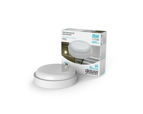 Сделать заказ Пылевлагозащищенный светильник Gauss 126411208| VIVID-LIGHT.RU