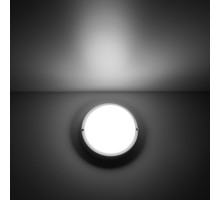 Пылевлагозащищенный светильник Gauss 126411212