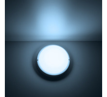 Пылевлагозащищенный светильник Gauss 126411312